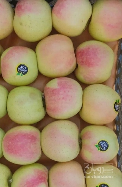 فروش سیب زرد