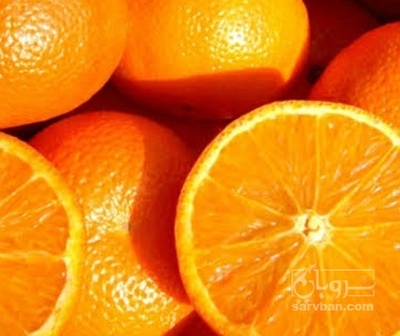 فروش پرتقال