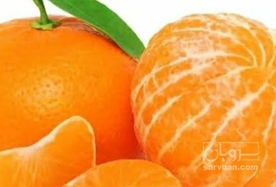 فروش نارنگی