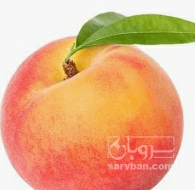 فروش هلو