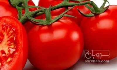 فروش گوجه فرنگی