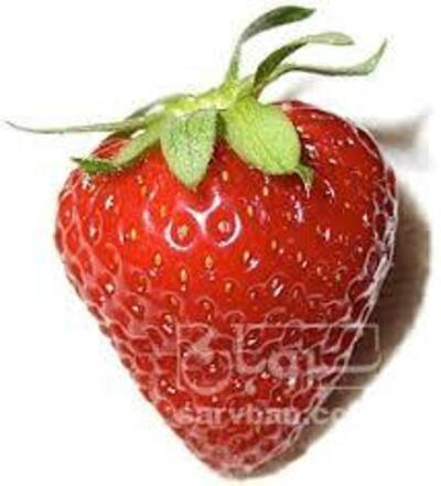 فروش توت فرنگی