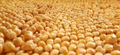 فروش نخود چی خام