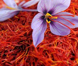 فروش زعفران (گیاه‌ دارویی)