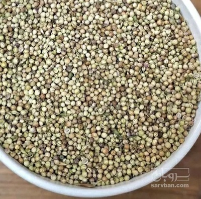 فروش تخم گشنیز (گیاه‌ دارویی)