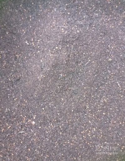 فروش  تفاله خرما