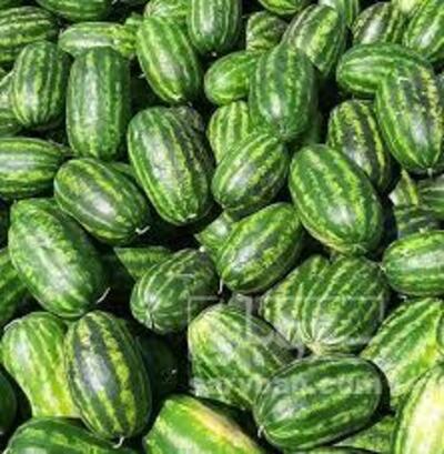 فروش هندوانه