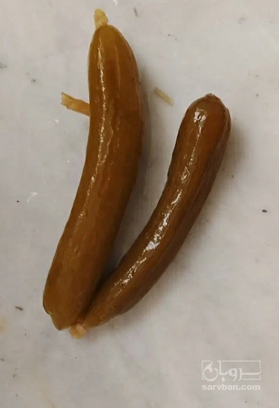 فروش خیار شور