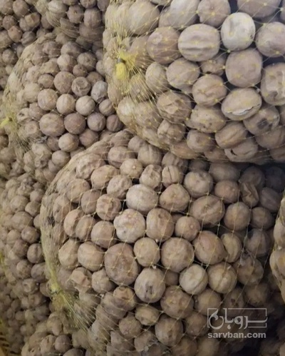 فروش لیمو خشک