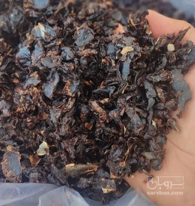 فروش لیمو خشک پرک