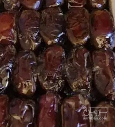 فروش خرما کبکاب
