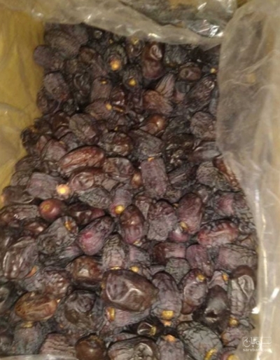 فروش خرما