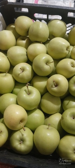 فروش سیب