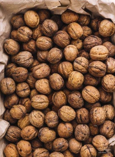 فروش گردو