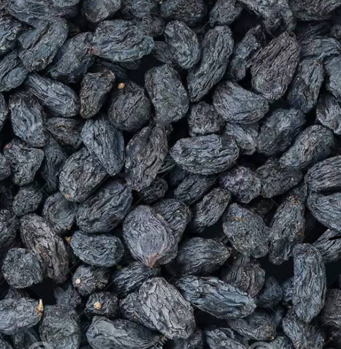 فروش مویز