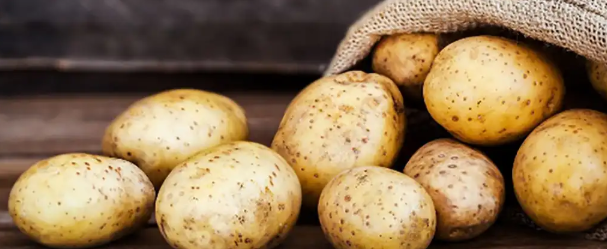 فروش سیب زمینی