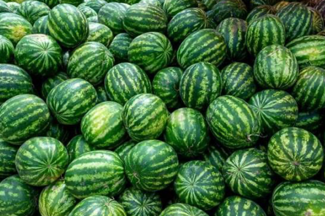 فروش هندوانه