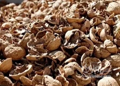 فروش پوست گردو
