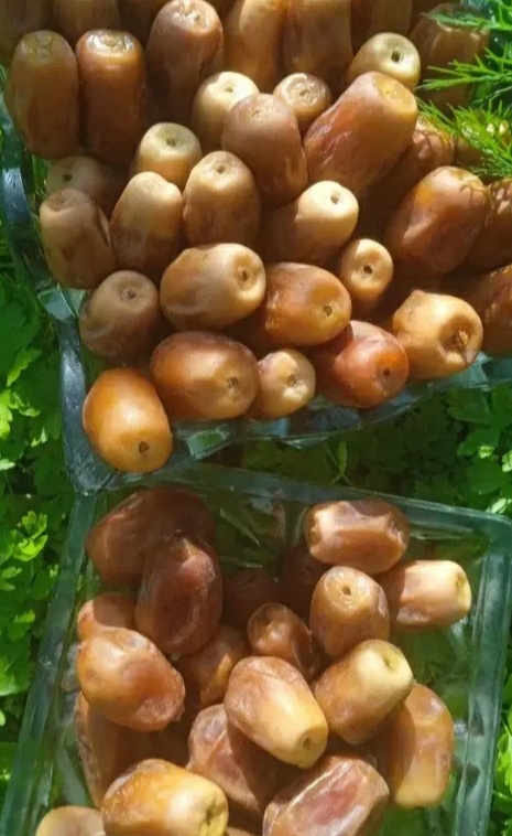 فروش خرما زاهدی