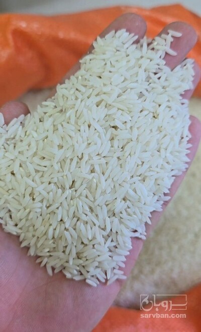 فروش برنج