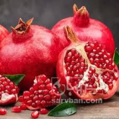 فروش انار