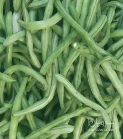 فروش لوبیا سبز