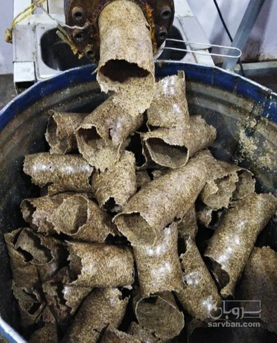 فروش کنجاله  سیاه دانه