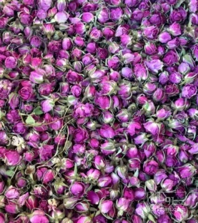 فروش گل محمدی (گیاه‌ دارویی)