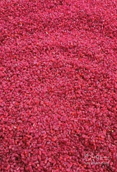 فروش زرشک اناری