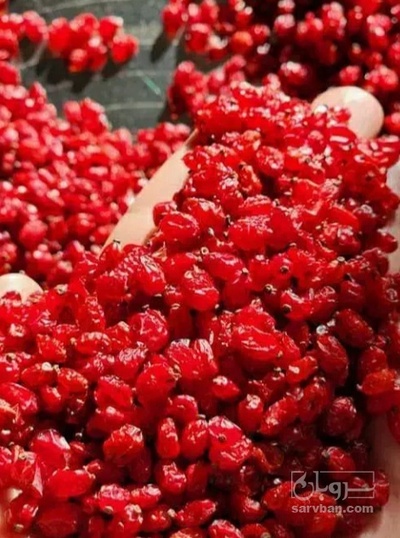 فروش زرشک پفکی