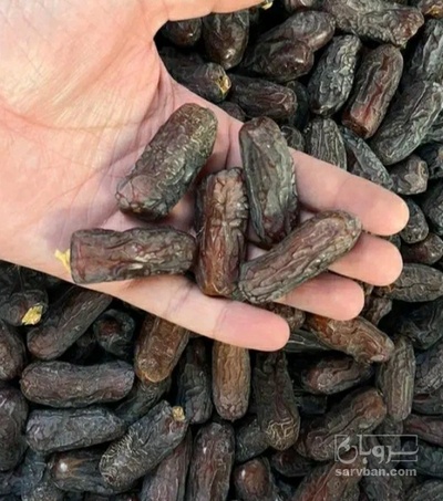 فروش خرما پیارم