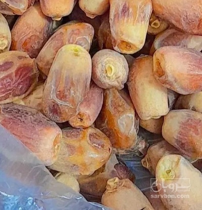 فروش خرما زاهدی