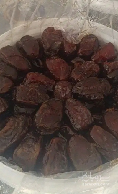 فروش خرما ربی
