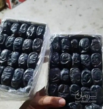 فروش خرما مضافتی