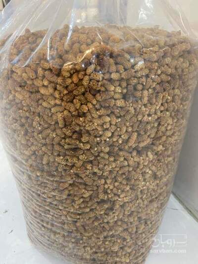 فروش توت خشک