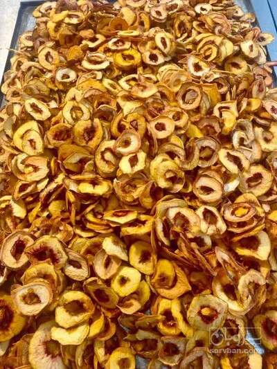 فروش برگه هلو