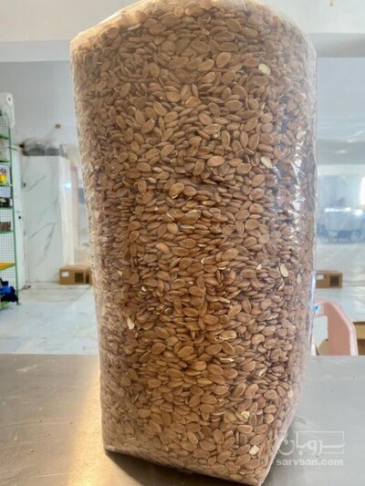 فروش هسته زردآلو