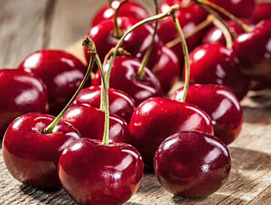 فروش آلبالو