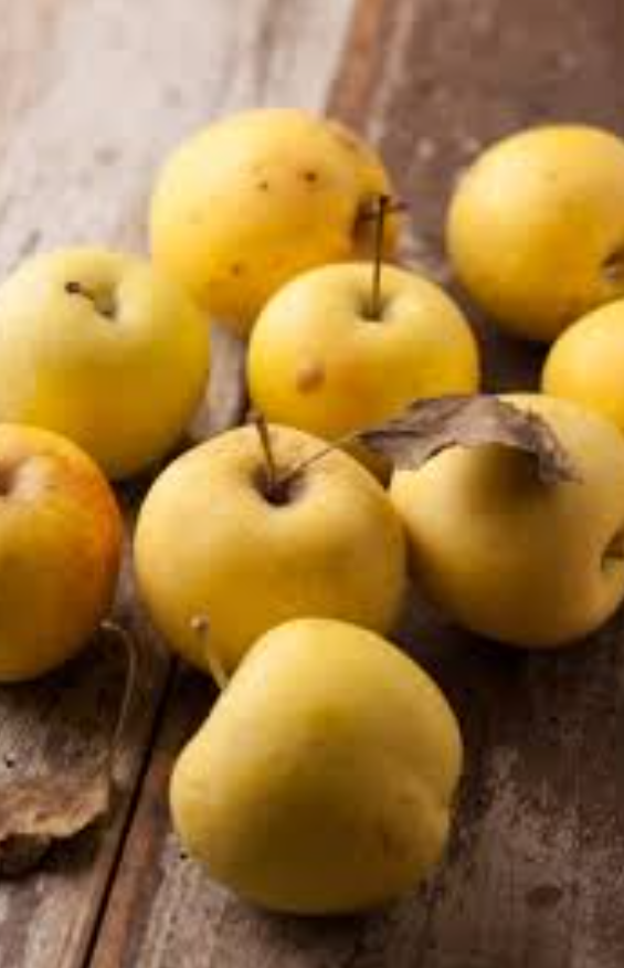 فروش سیب زرد