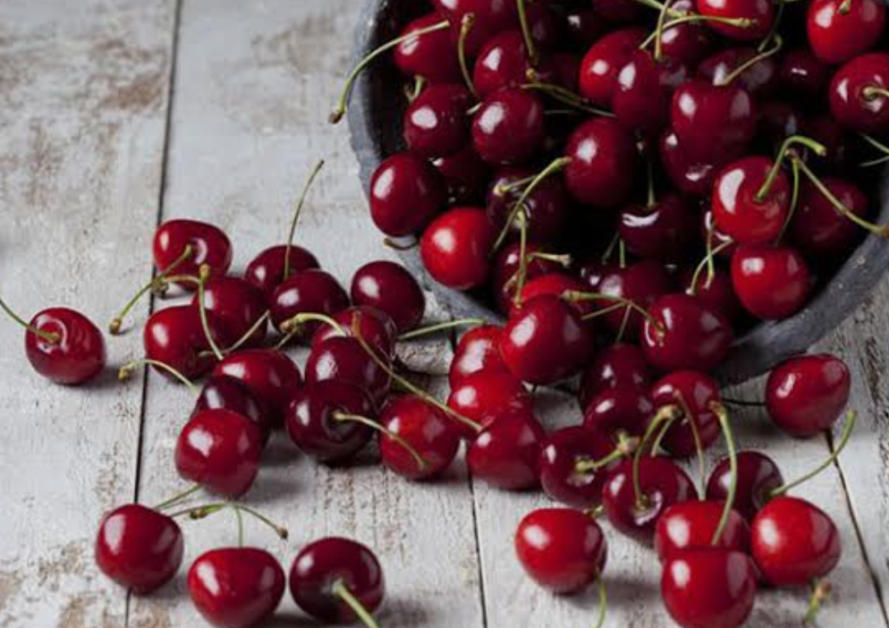 فروش آلبالو