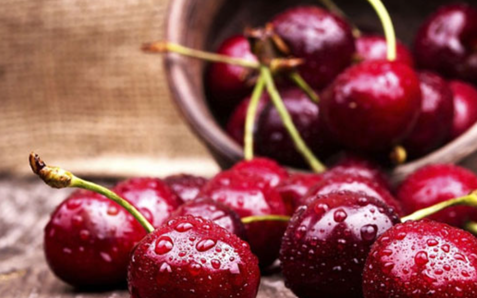 فروش آلبالو