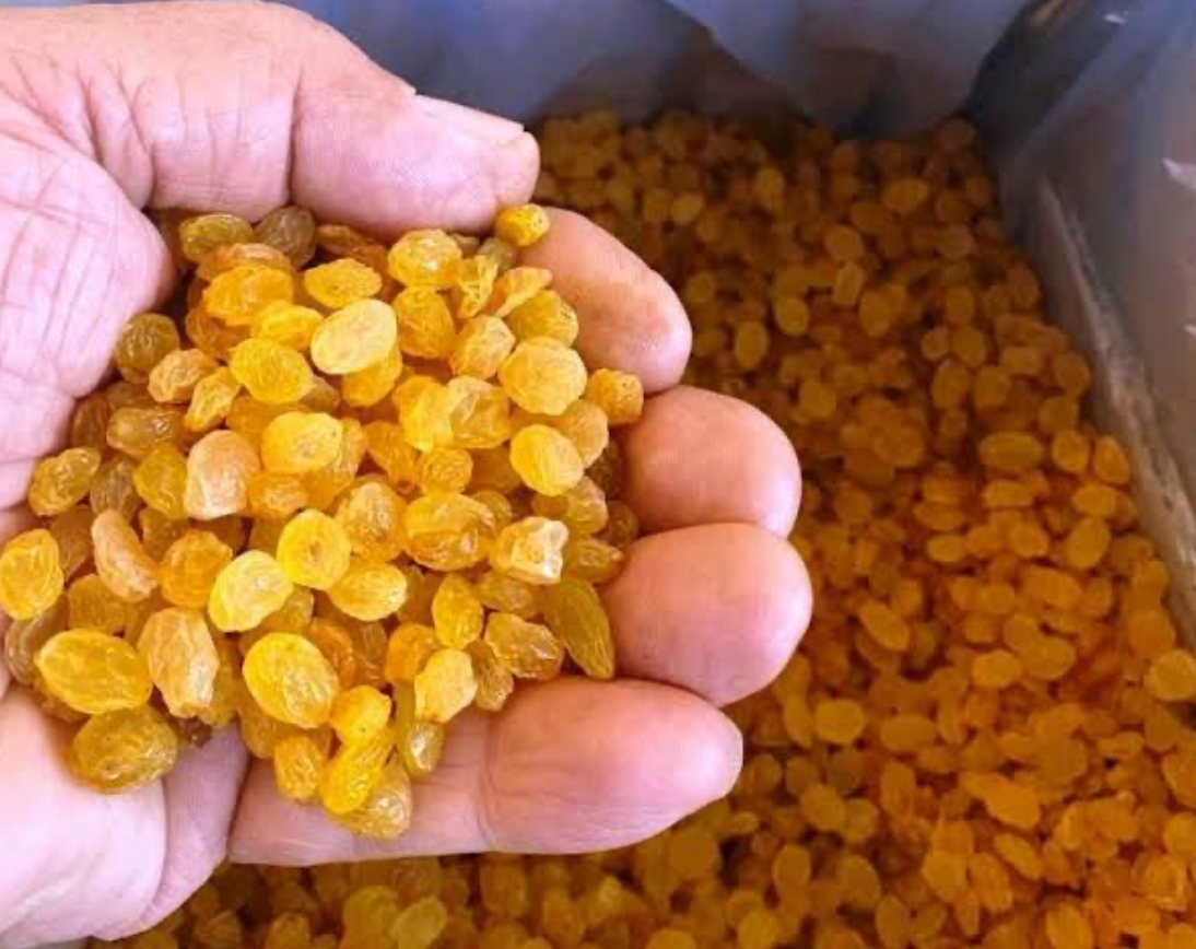 فروش کشمش زرد