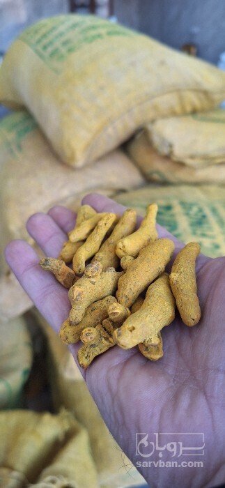 فروش پودر زردچوبه