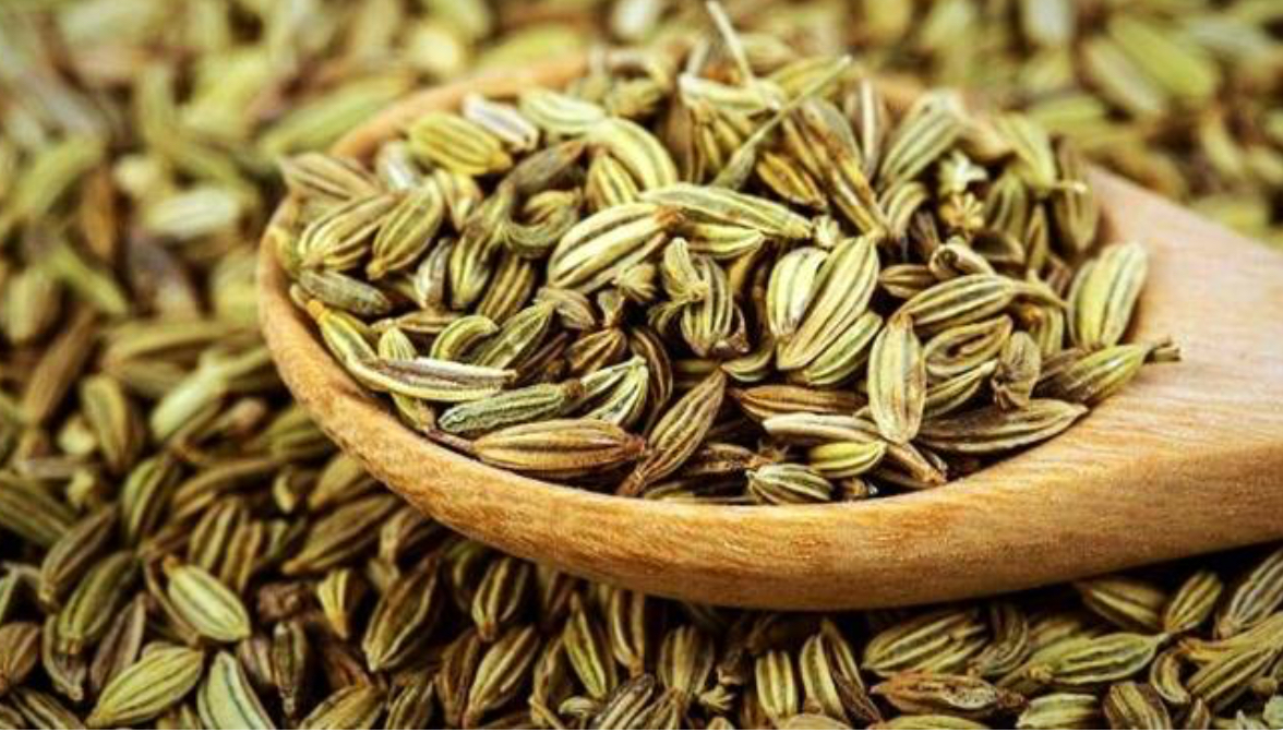 فروش زیره (گیاه‌ دارویی)