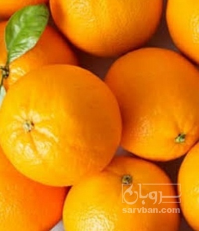 فروش پرتقال واشنگتن