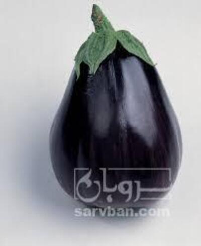 فروش بادمجان دلمه ای