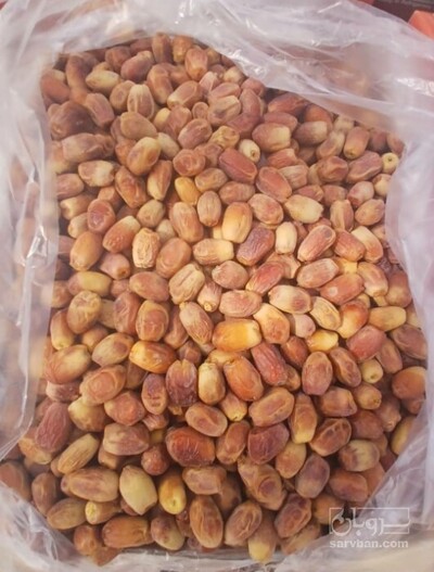فروش خرما