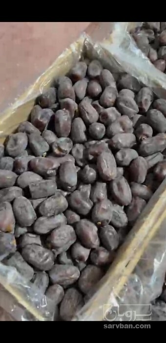 فروش خرما