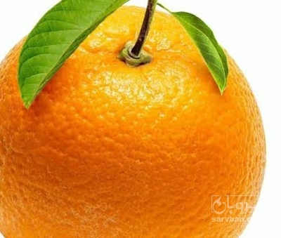 فروش پرتقال ناول