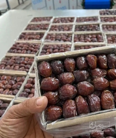 فروش خرما کبکاب